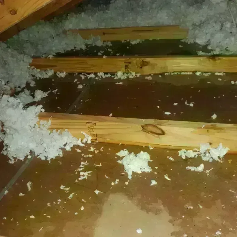 Attic Water Damage in Isanti County, MN